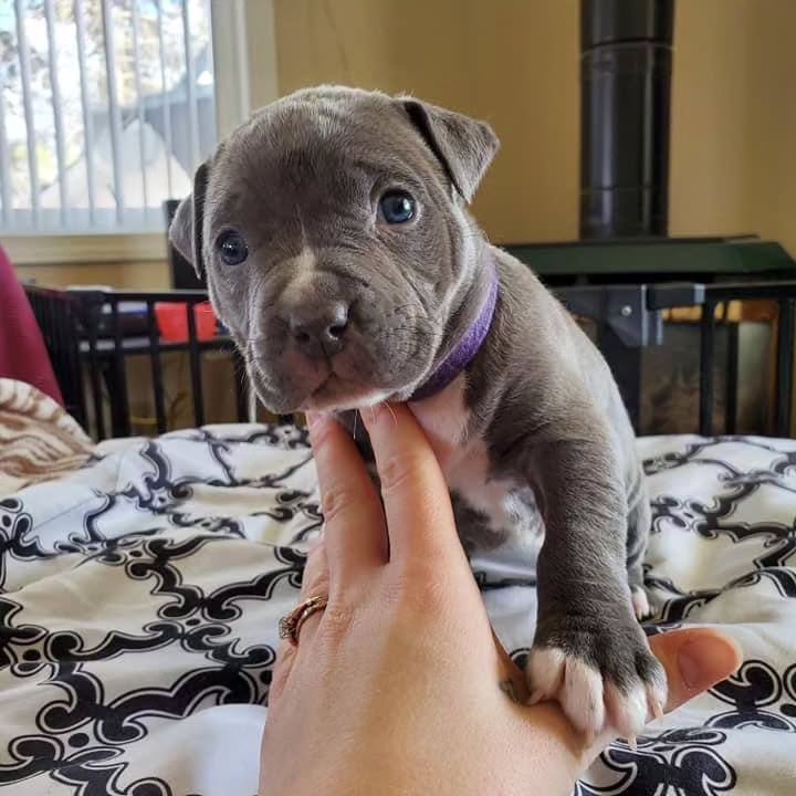 WhatsApp Image 2025-11-08 at 15.13