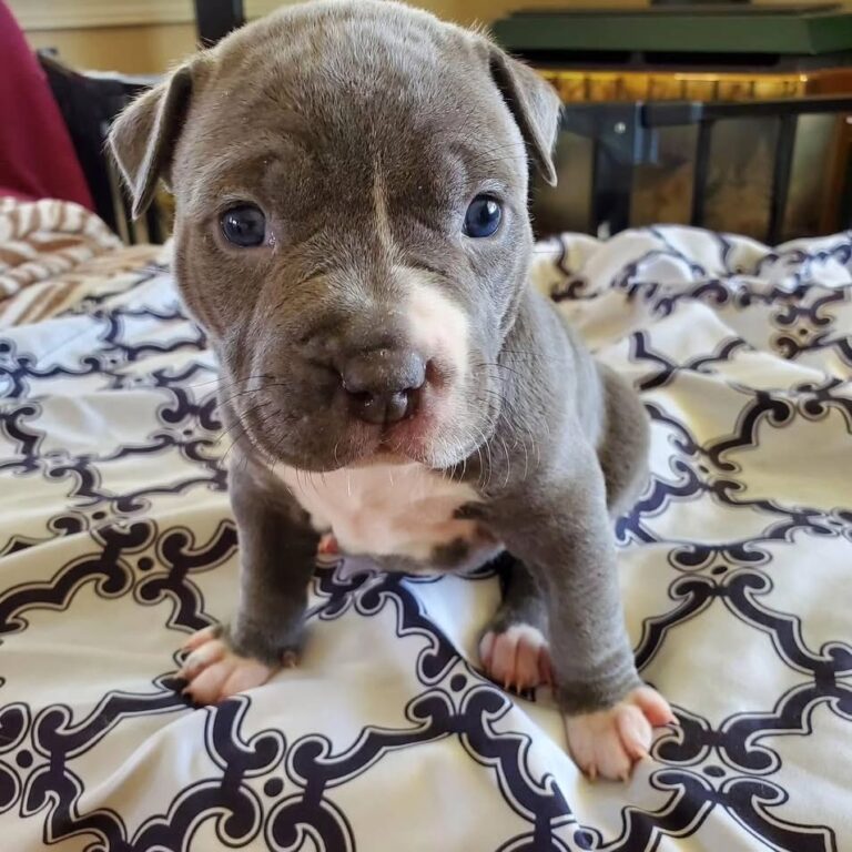 WhatsApp Image 2025-11-08 at 15.13