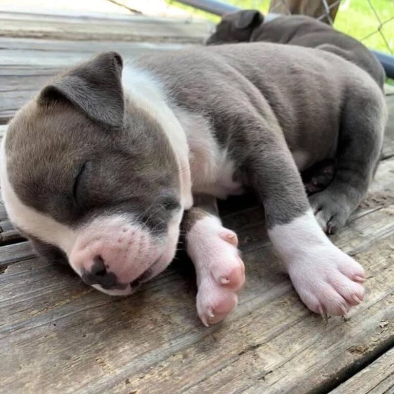 WhatsApp Image 2025-11-08 at 15.14