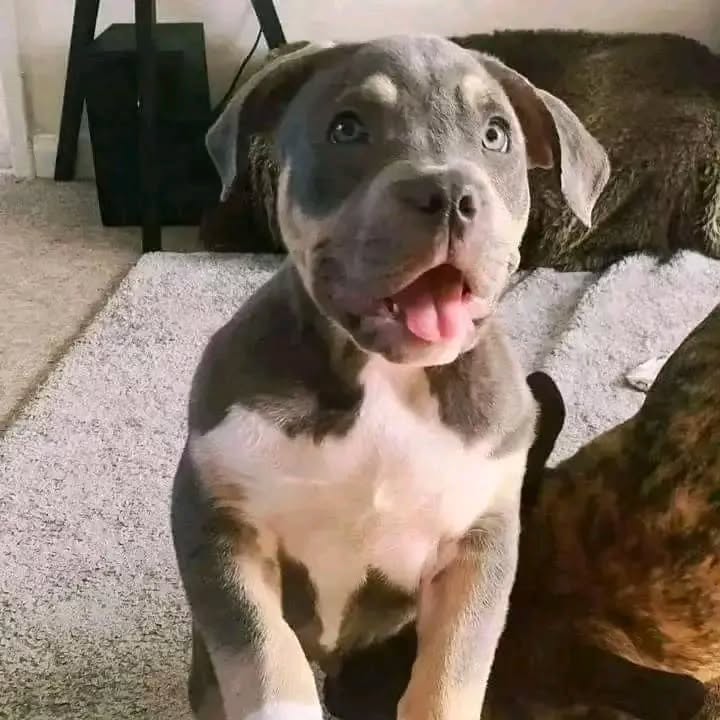 WhatsApp Image 2025-11-08 at 15.15