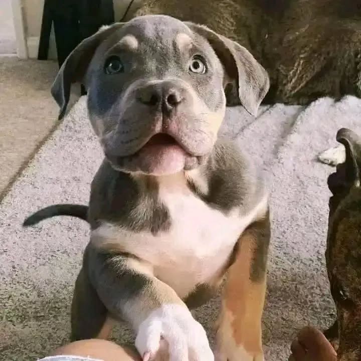 WhatsApp Image 2025-11-08 at 15.15