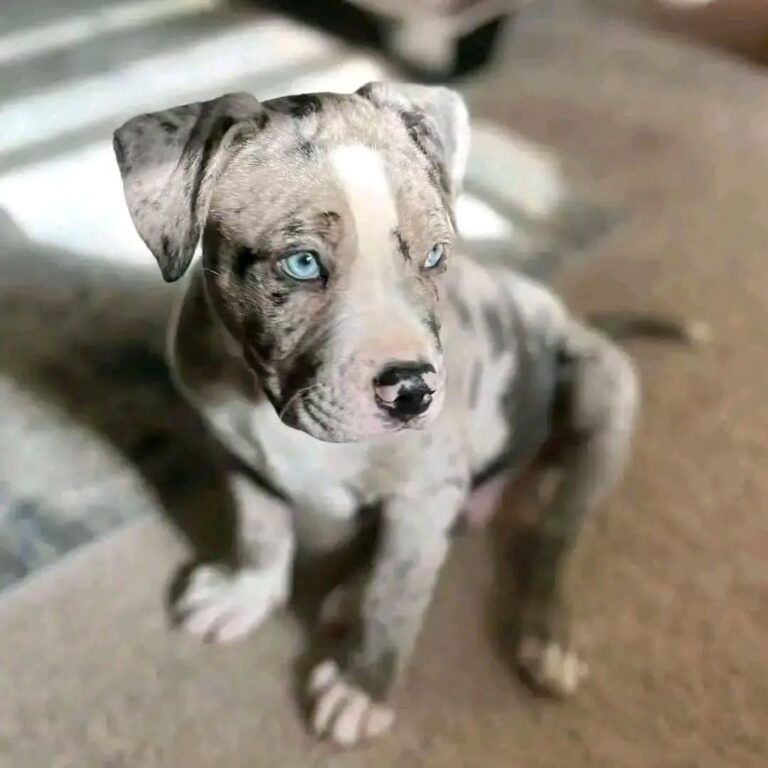 WhatsApp Image 2025-11-08 at 15.16