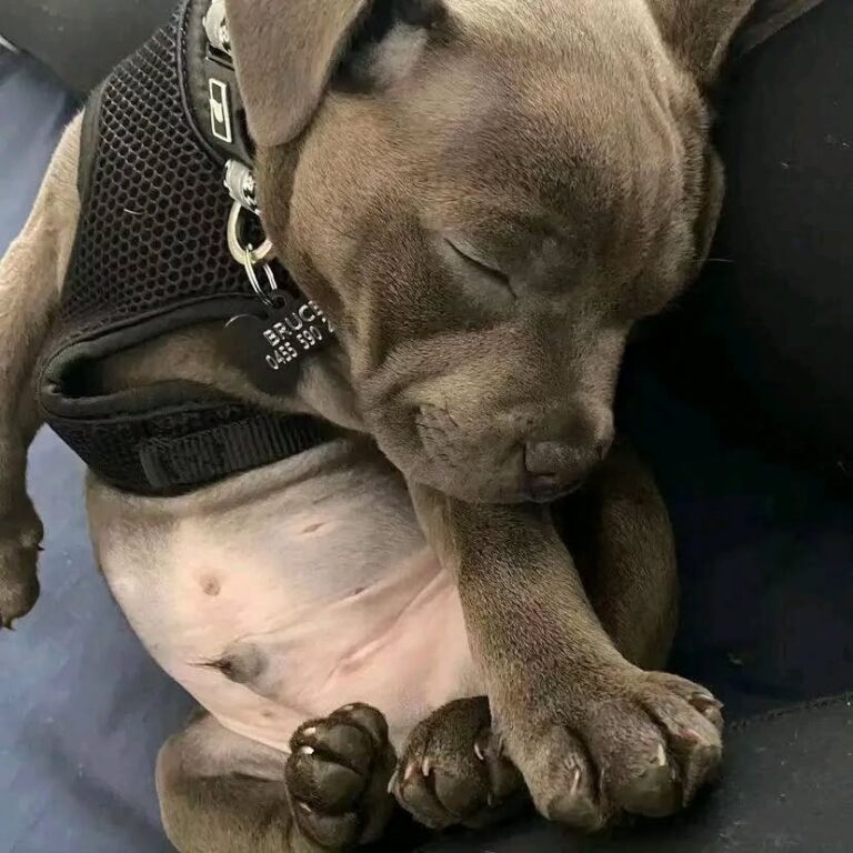 WhatsApp Image 2025-11-08 at 15.17