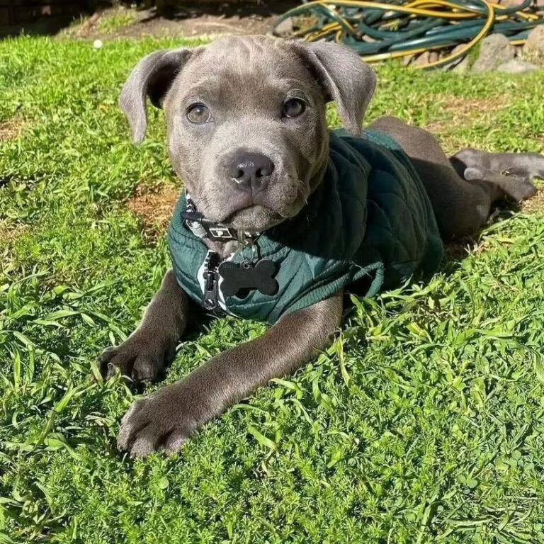 WhatsApp Image 2025-11-08 at 15.17