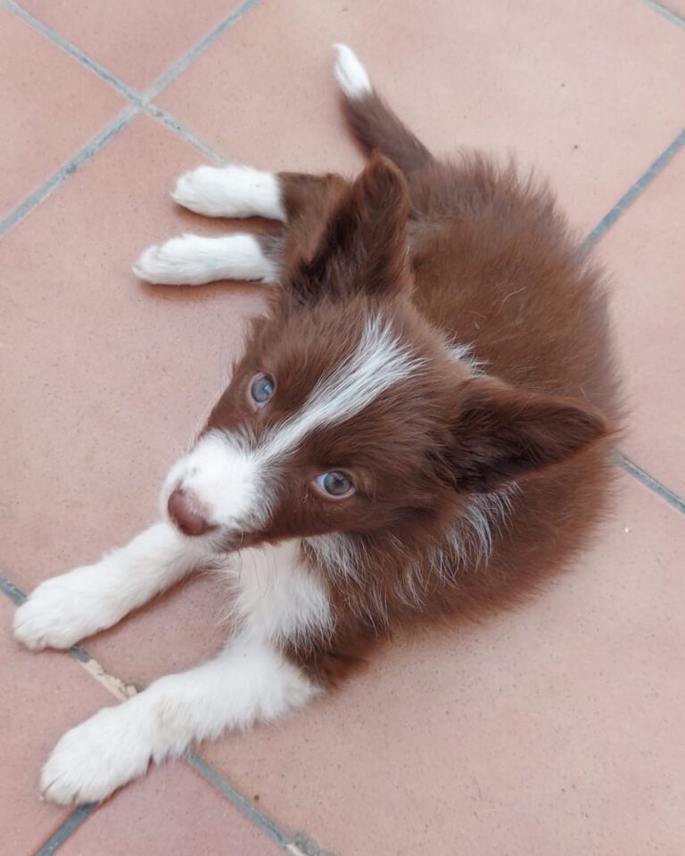 WhatsApp Image 2025-11-08 at 15.19