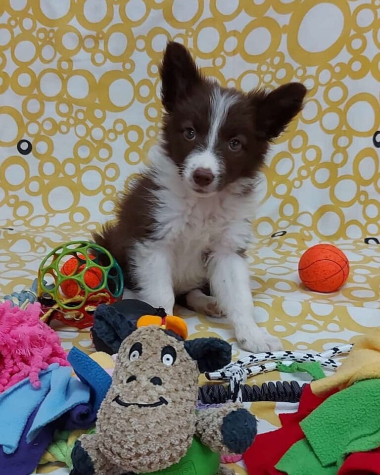 WhatsApp Image 2025-11-08 at 15.19