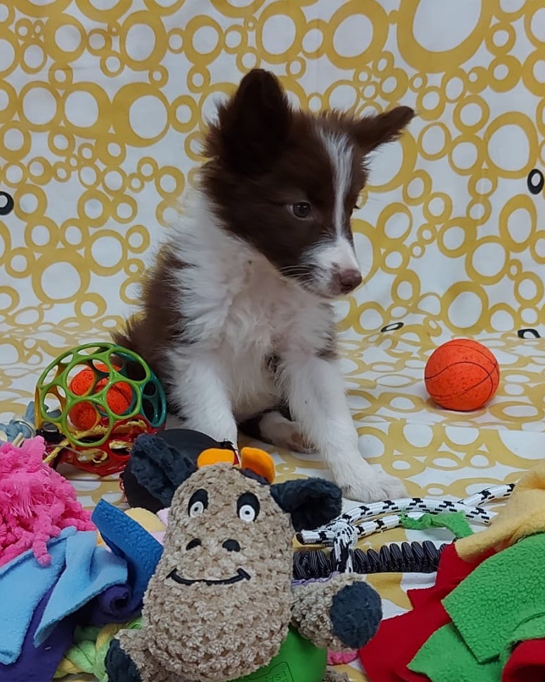 WhatsApp Image 2025-11-08 at 15.19