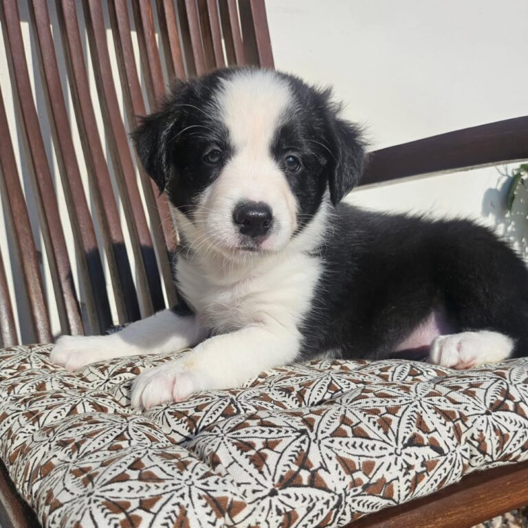 WhatsApp Image 2025-11-08 at 15.20