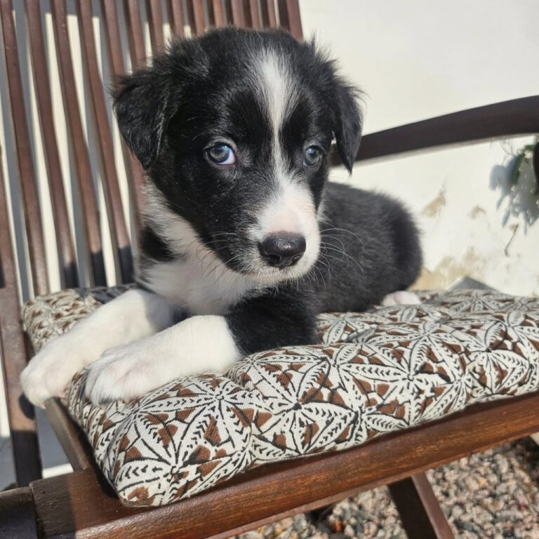 WhatsApp Image 2025-11-08 at 15.20