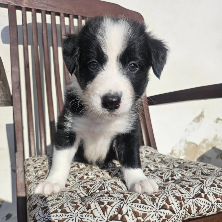 WhatsApp Image 2025-11-08 at 15.20