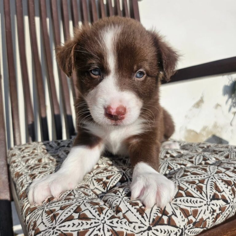 WhatsApp Image 2025-11-08 at 15.22