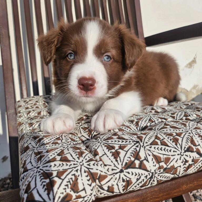 WhatsApp Image 2025-11-08 at 15.22