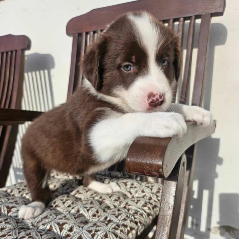 WhatsApp Image 2025-11-08 at 15.22