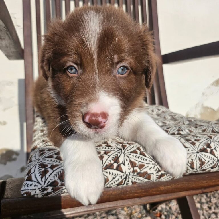 WhatsApp Image 2025-11-08 at 15.22