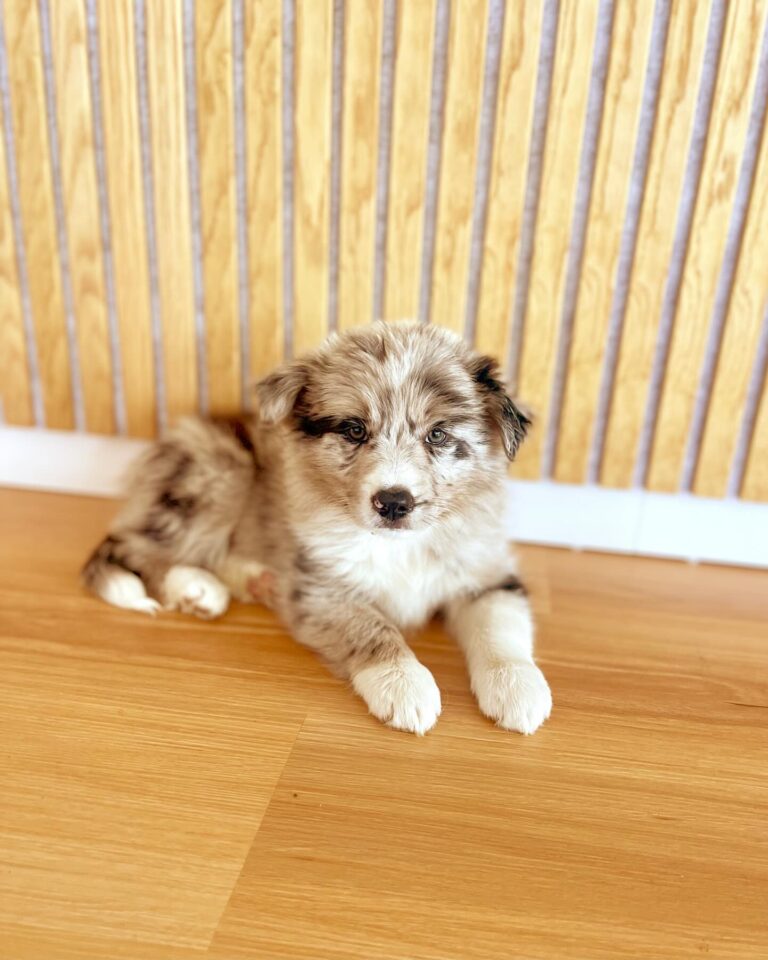 WhatsApp Image 2025-11-08 at 15.23