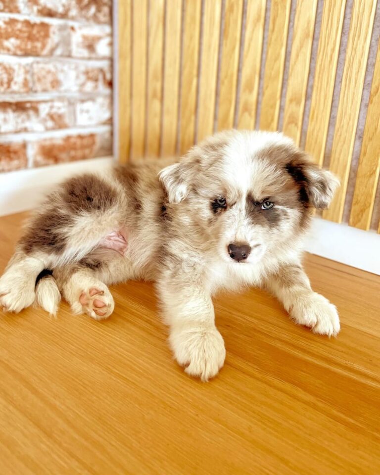 WhatsApp Image 2025-11-08 at 15.23