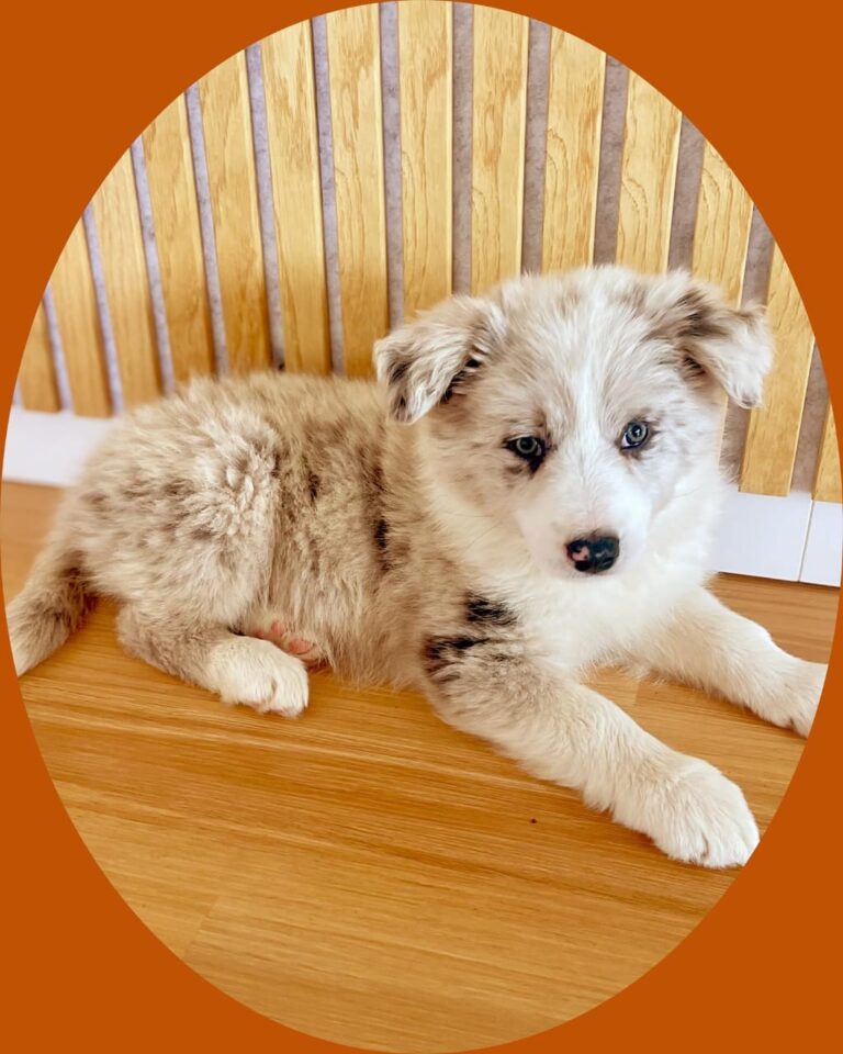 WhatsApp Image 2025-11-08 at 15.23