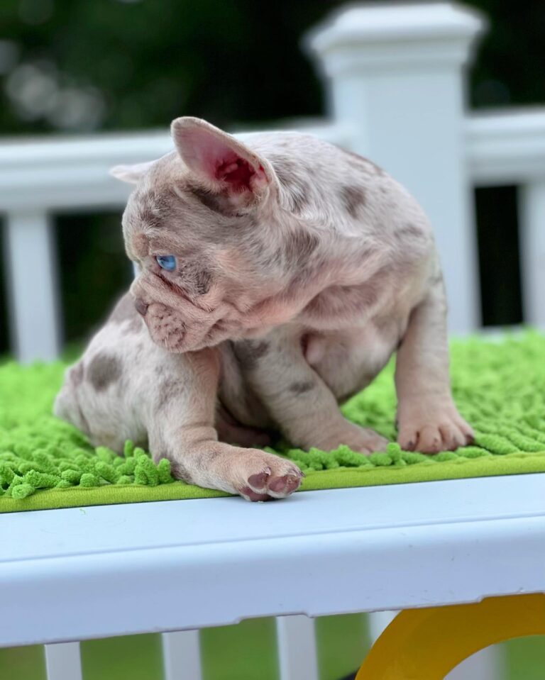 WhatsApp Image 2025-11-08 at 15.25