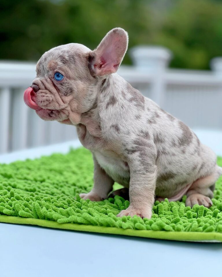 WhatsApp Image 2025-11-08 at 15.25