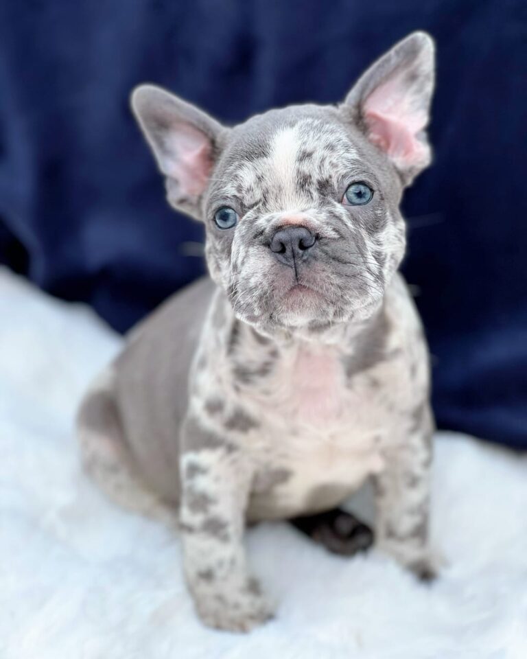 WhatsApp Image 2025-11-08 at 15.27