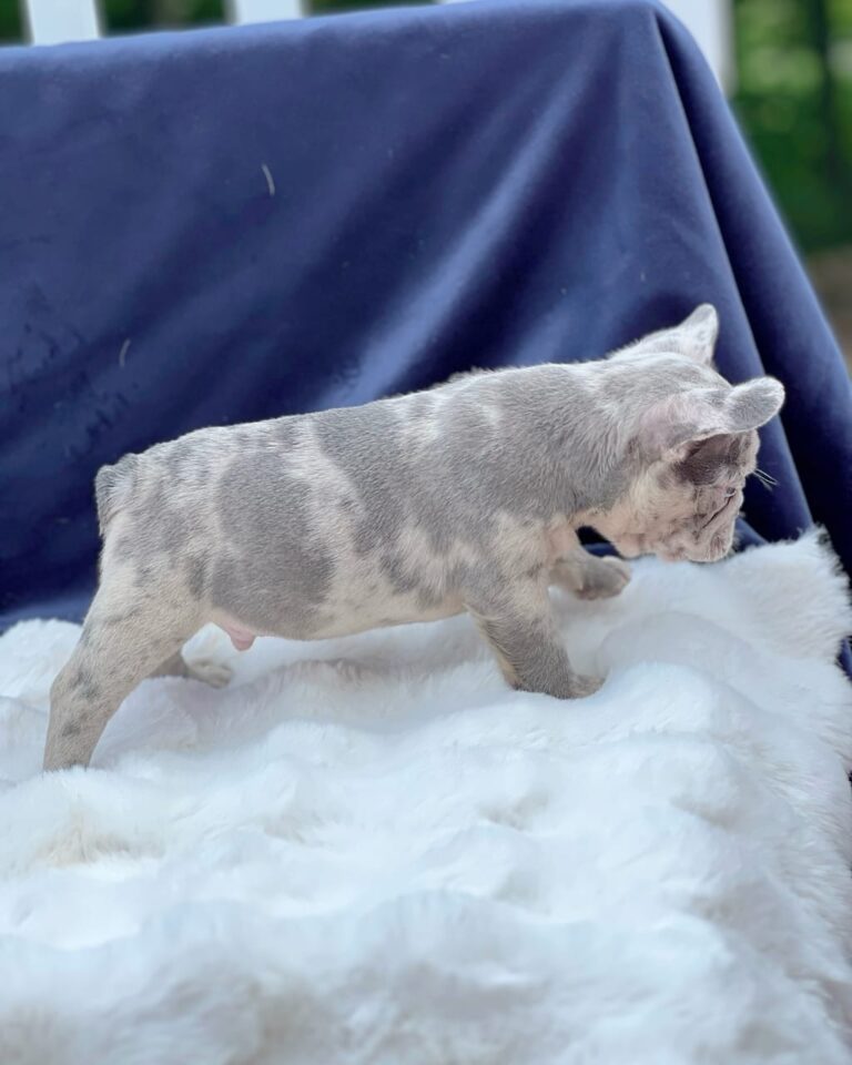 WhatsApp Image 2025-11-08 at 15.27