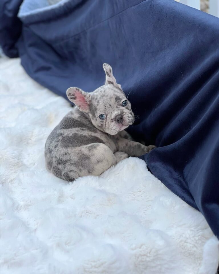 WhatsApp Image 2025-11-08 at 15.29