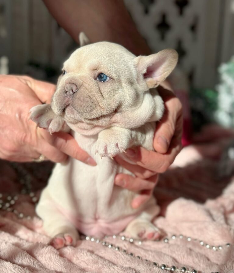 WhatsApp Image 2025-11-08 at 15.30