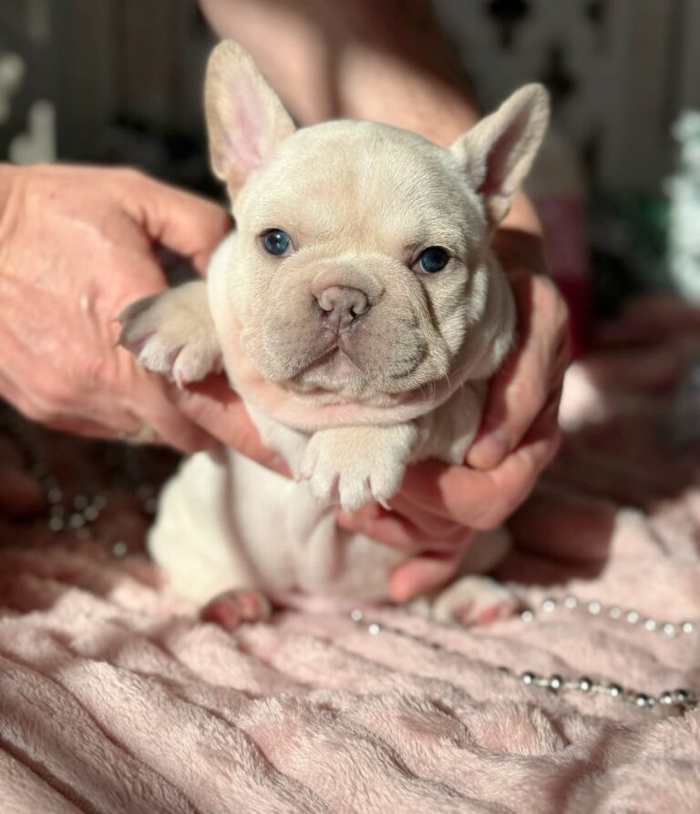 WhatsApp Image 2025-11-08 at 15.30