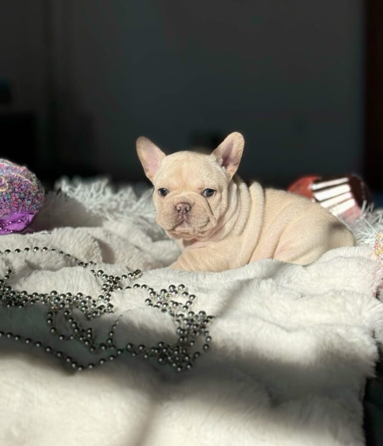 WhatsApp Image 2025-11-08 at 15.32