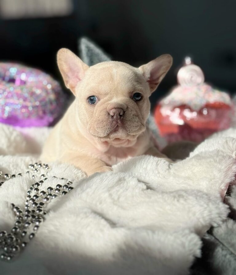 WhatsApp Image 2025-11-08 at 15.32