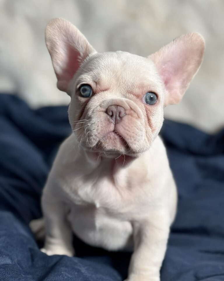 WhatsApp Image 2025-11-08 at 15.34