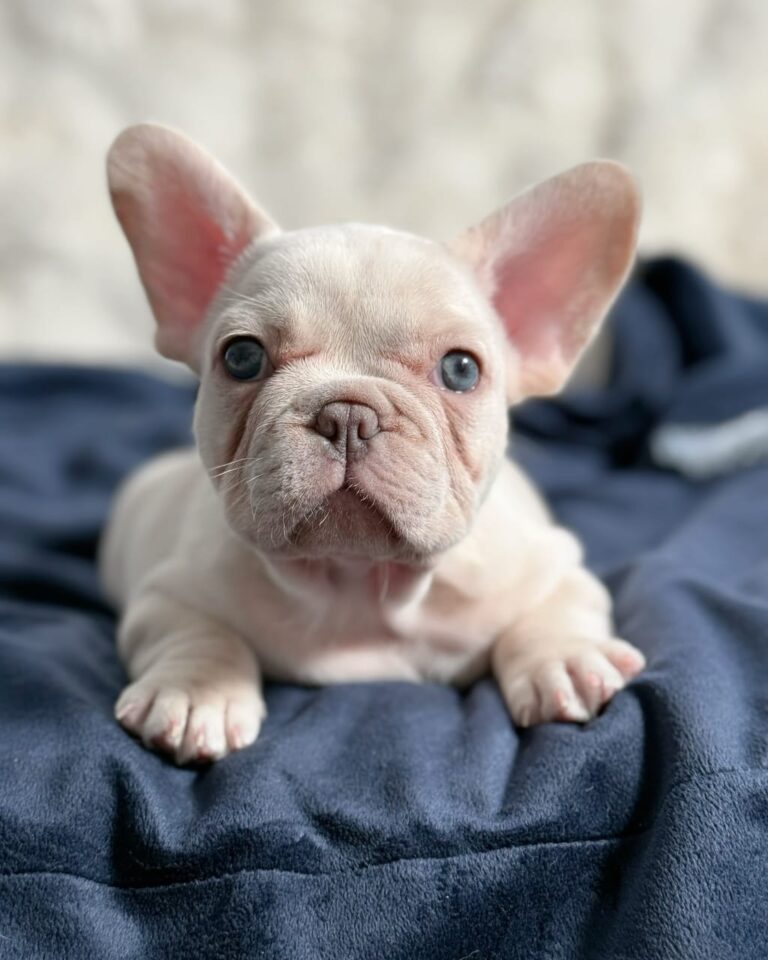 WhatsApp Image 2025-11-08 at 15.34