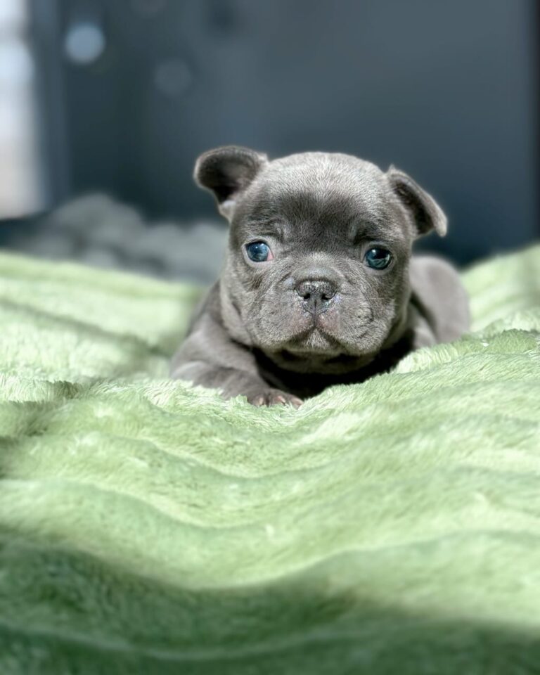 WhatsApp Image 2025-11-08 at 15.36