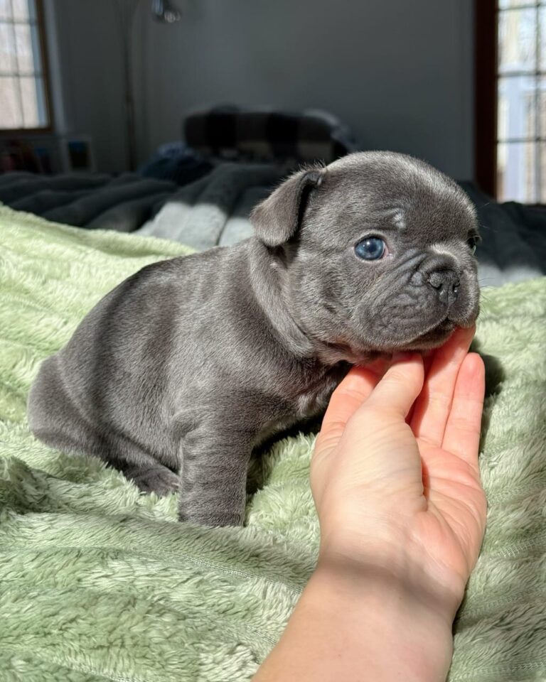 WhatsApp Image 2025-11-08 at 15.36