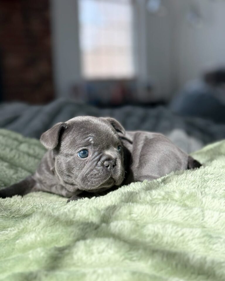 WhatsApp Image 2025-11-08 at 15.36