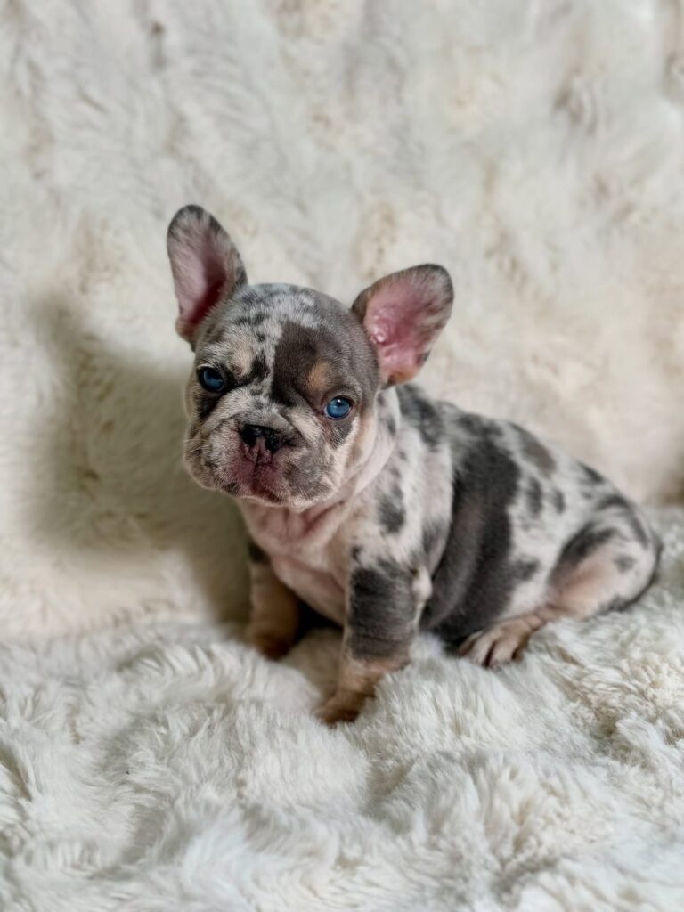 WhatsApp Image 2025-11-08 at 15.36