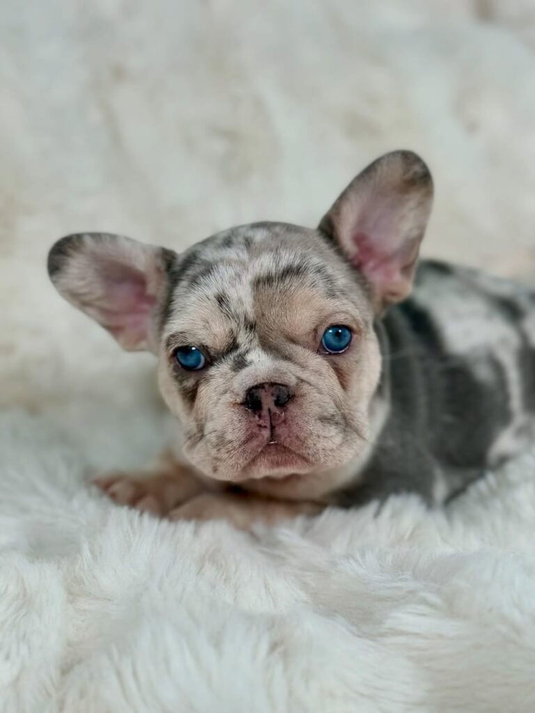 WhatsApp Image 2025-11-08 at 15.36