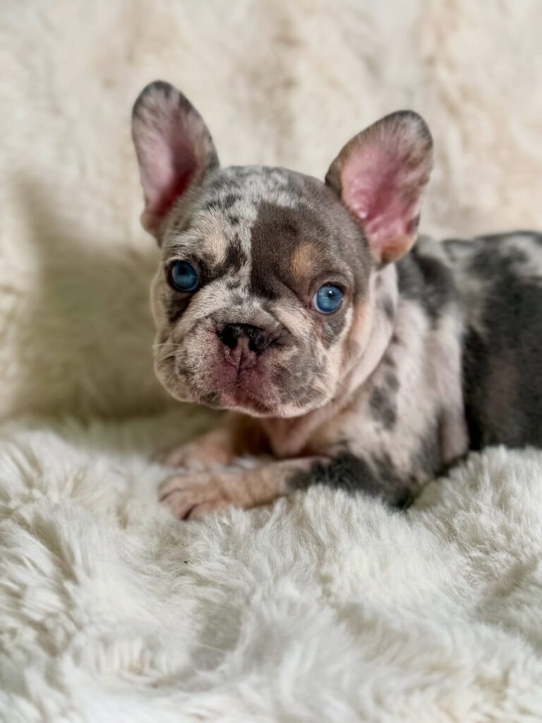 WhatsApp Image 2025-11-08 at 15.36