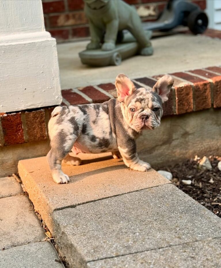 WhatsApp Image 2025-11-08 at 15.38