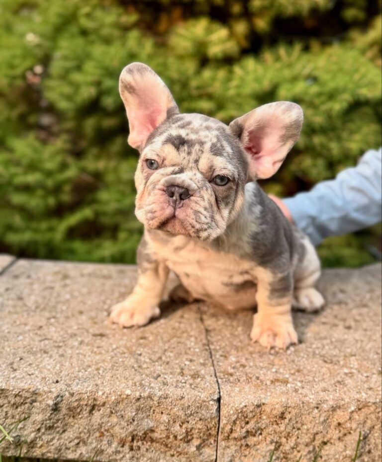 WhatsApp Image 2025-11-08 at 15.38