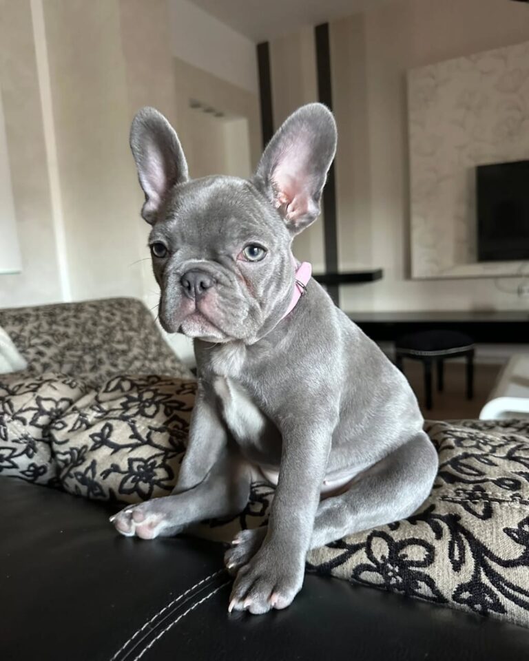 WhatsApp Image 2025-11-08 at 15.39