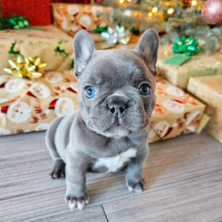 WhatsApp Image 2025-11-08 at 15.39