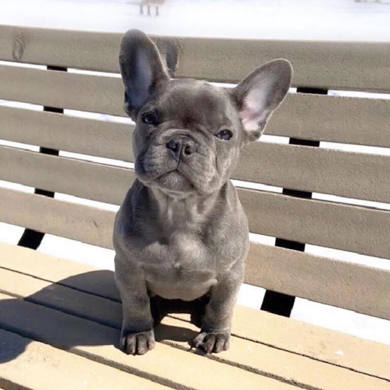 WhatsApp Image 2025-11-08 at 15.39