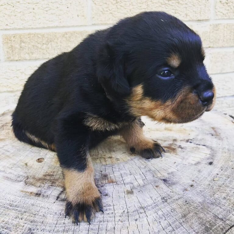 WhatsApp Image 2025-11-08 at 15.42