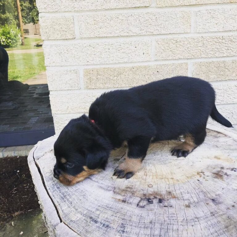 WhatsApp Image 2025-11-08 at 15.42