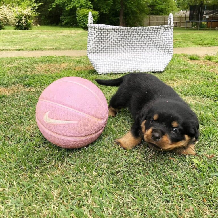 WhatsApp Image 2025-11-08 at 15.42