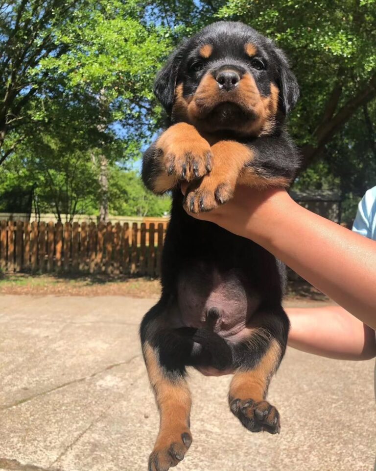 WhatsApp Image 2025-11-08 at 15.43