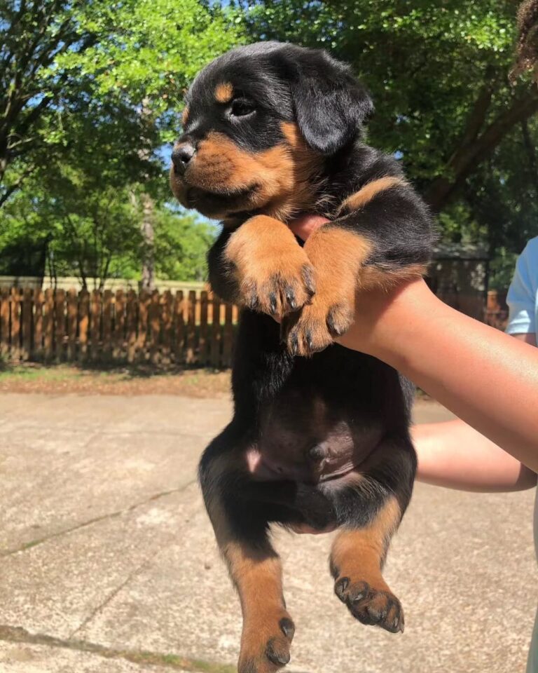 WhatsApp Image 2025-11-08 at 15.43