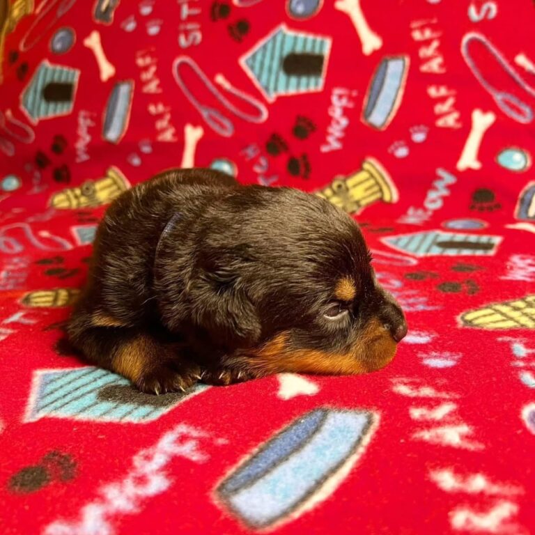 WhatsApp Image 2025-11-08 at 15.44