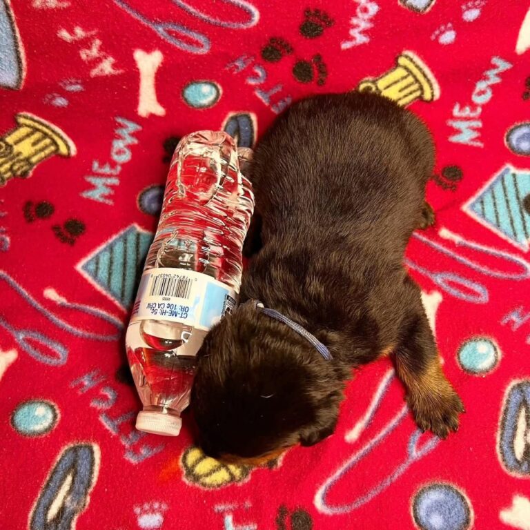 WhatsApp Image 2025-11-08 at 15.44